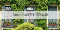 honor 30s亮屏时间怎么调