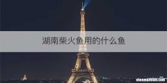湖南柴火鱼用的什么鱼