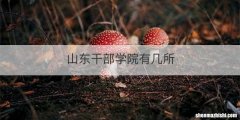 山东干部学院有几所