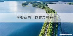 英短蓝白可以在农村养么