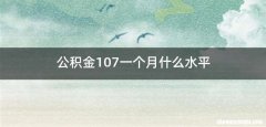 公积金107一个月什么水平