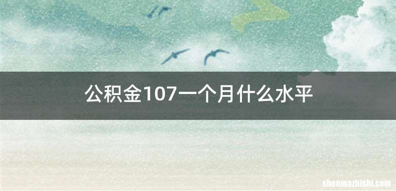 公积金107一个月什么水平