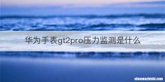 华为手表gt2pro压力监测是什么