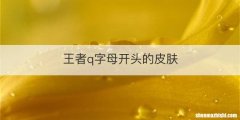王者q字母开头的皮肤