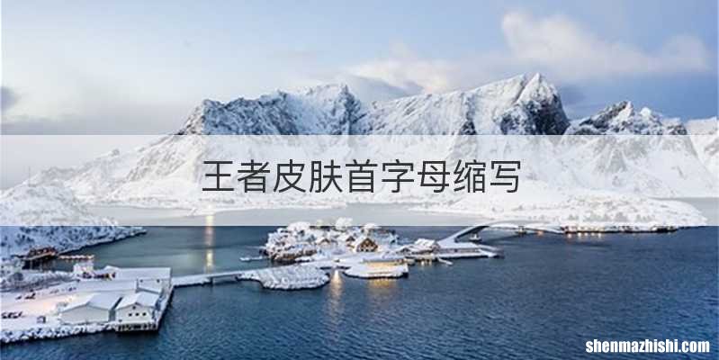 王者皮肤首字母缩写