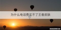 为什么电话费买不了王者皮肤