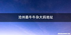 沧州最牛牛杂大妈地址