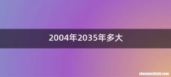 2004年2035年多大