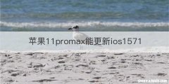 苹果11promax能更新ios1571