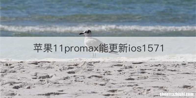 苹果11promax能更新ios1571