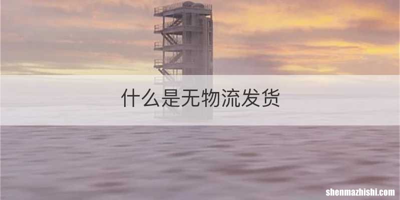 什么是无物流发货