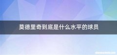 莫德里奇到底是什么水平的球员