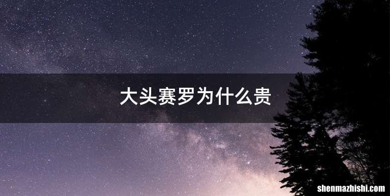 大头赛罗为什么贵