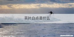 茶叶白点是什么