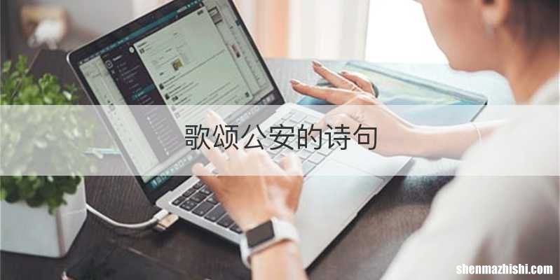 歌颂公安的诗句