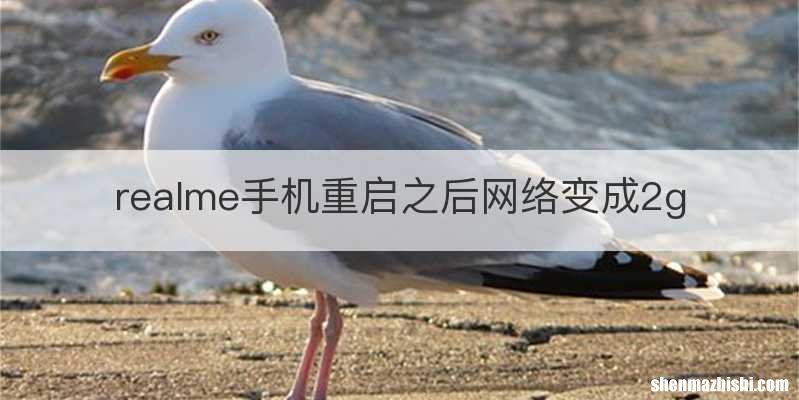 realme手机重启之后网络变成2g