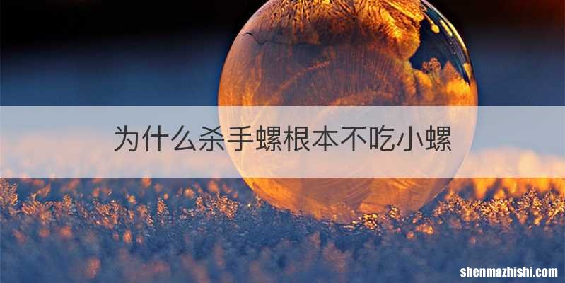 为什么杀手螺根本不吃小螺