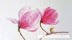 巴黎圣母院买哪个版本好