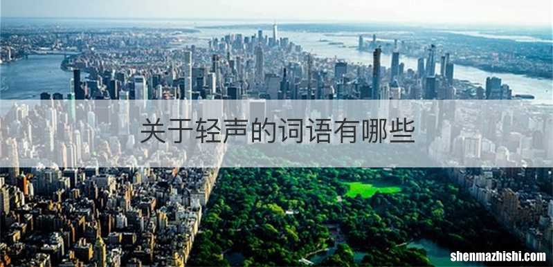 关于轻声的词语有哪些