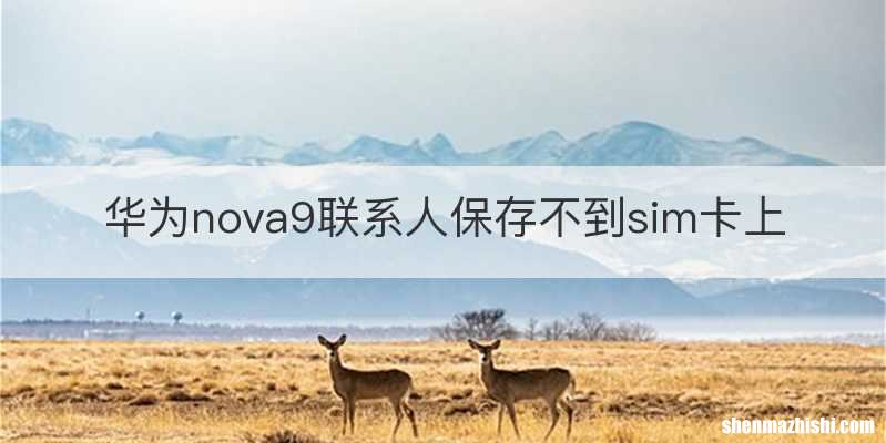 华为nova9联系人保存不到sim卡上