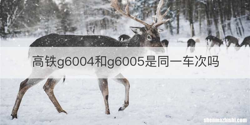 高铁g6004和g6005是同一车次吗