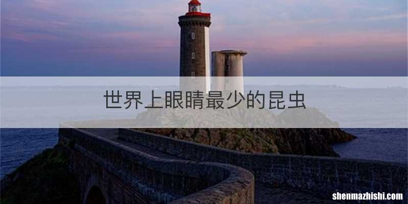 世界上眼睛最少的昆虫