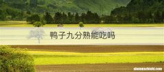 鸭子九分熟能吃吗