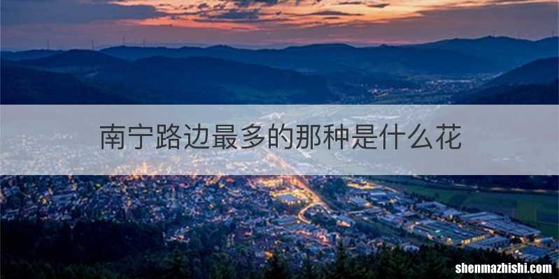 南宁路边最多的那种是什么花