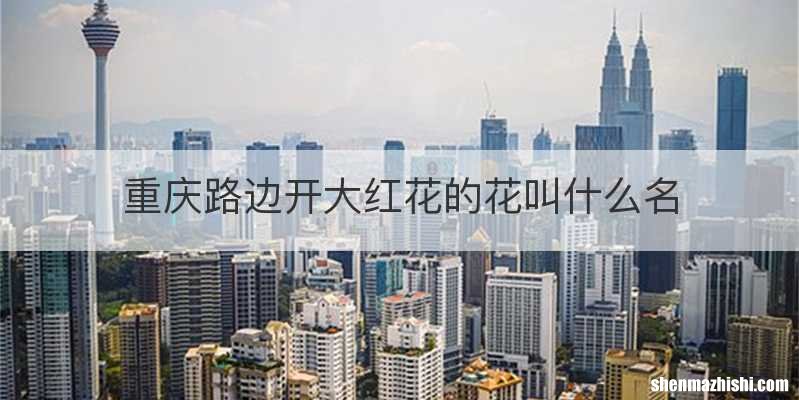 重庆路边开大红花的花叫什么名