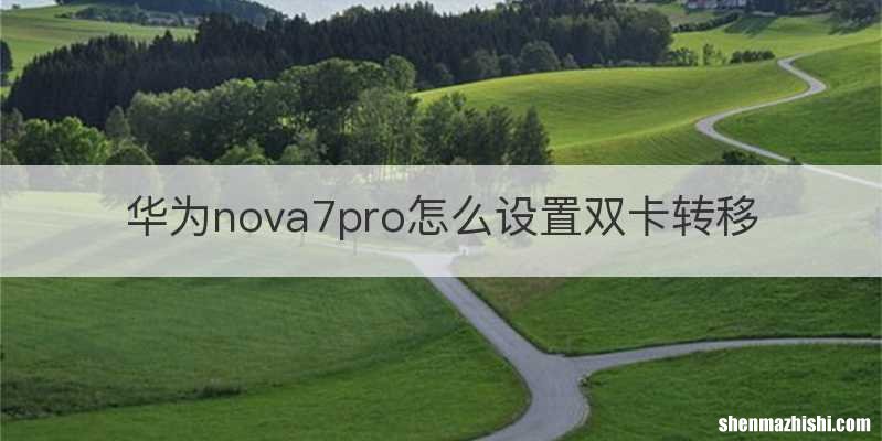 华为nova7pro怎么设置双卡转移