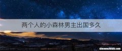 两个人的小森林男主出国多久
