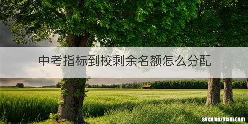 中考指标到校剩余名额怎么分配