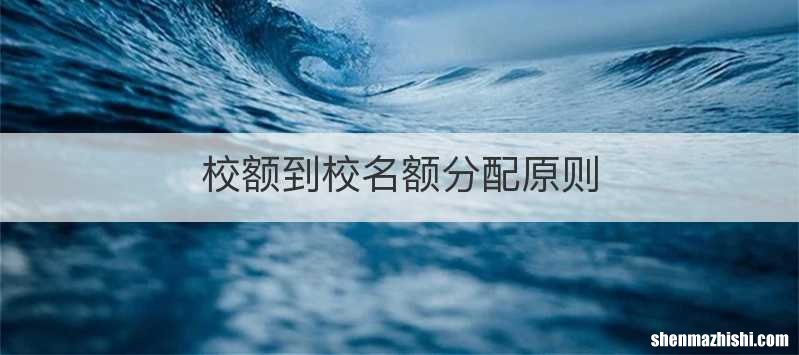 校额到校名额分配原则