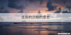生命的历程的意思
