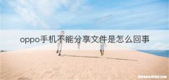 oppo手机不能分享文件是怎么回事
