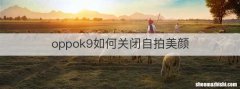 oppok9如何关闭自拍美颜