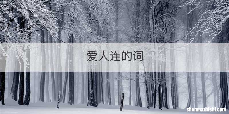 爱大连的词
