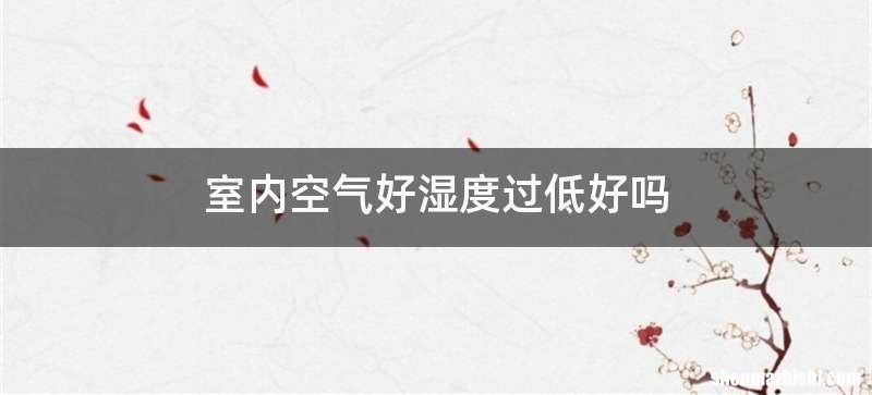 室内空气好湿度过低好吗