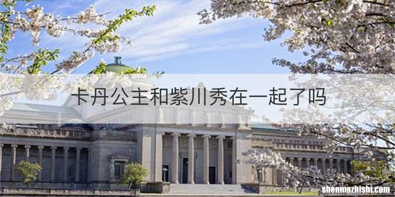 卡丹公主和紫川秀在一起了吗