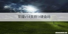 荣耀v14支持1t硬盘吗