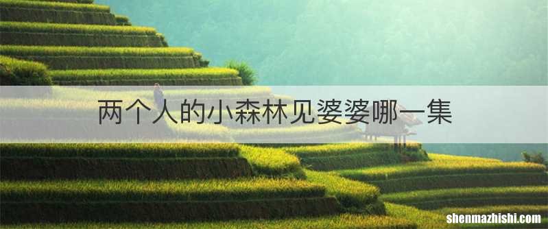 两个人的小森林见婆婆哪一集