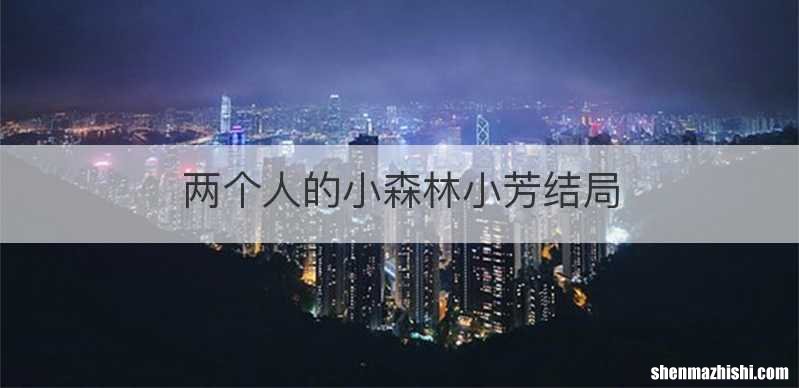 两个人的小森林小芳结局