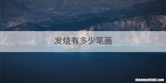发烧有多少笔画