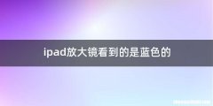 ipad放大镜看到的是蓝色的