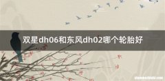 双星dh06和东风dh02哪个轮胎好