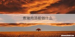 煮猪肉汤能做什么