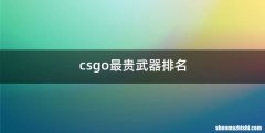 csgo最贵武器排名