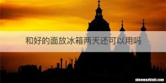 和好的面放冰箱两天还可以用吗