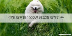 俄罗斯方块2022总冠军直播在几号