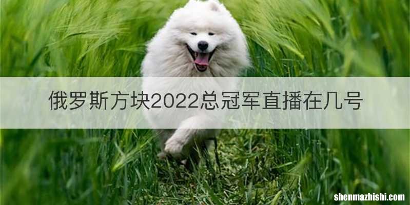 俄罗斯方块2022总冠军直播在几号